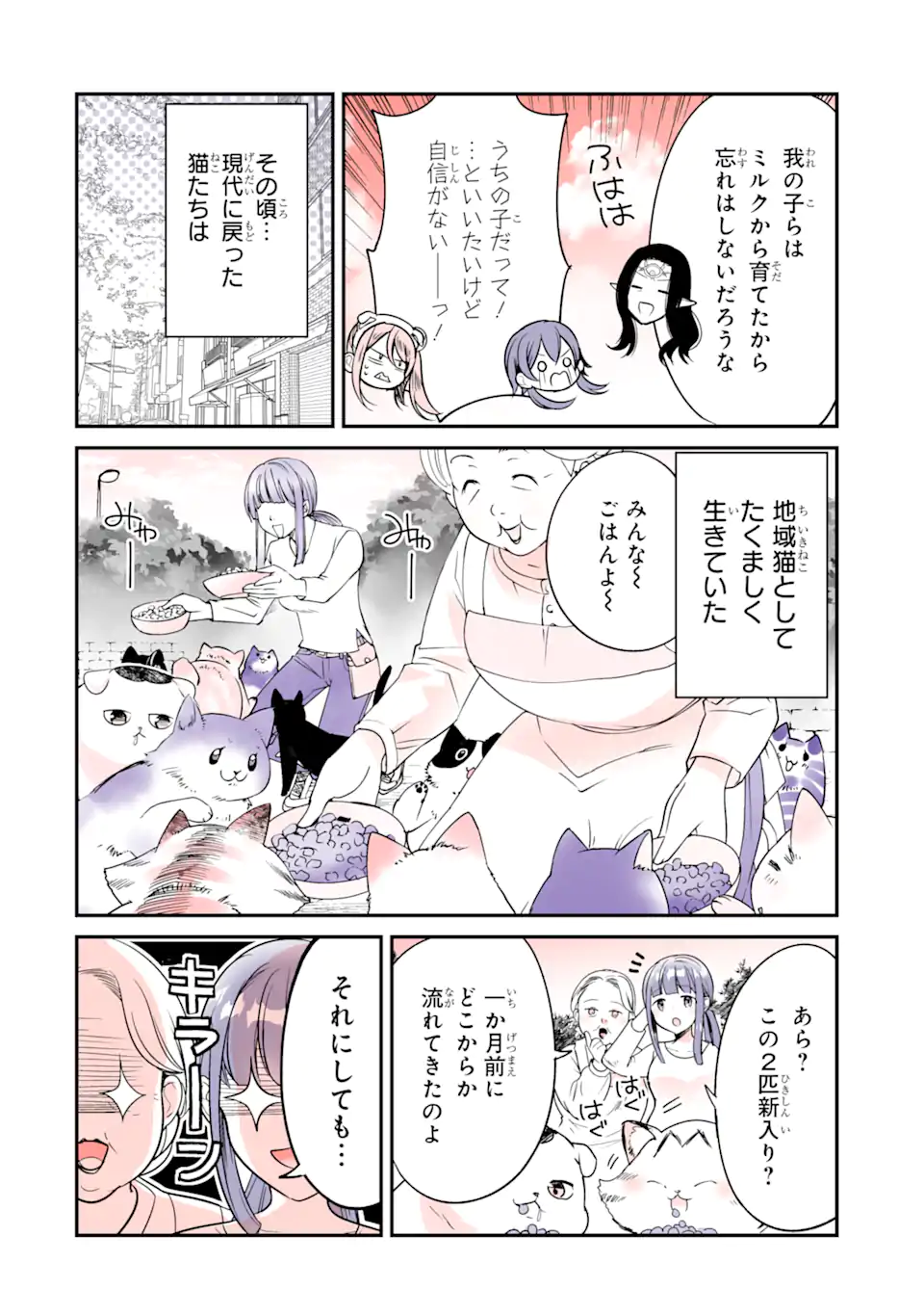 Tensei Shite mo Neko wa Neko - Chapter 44_End - Page 6